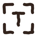 Copy text from screen